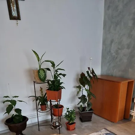 Apartament אפורי נורד